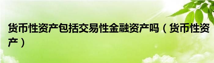 货币性资产包括交易性金融资产吗（货币性资产）