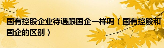 国有控股企业待遇跟国企一样吗（国有控股和国企的区别）