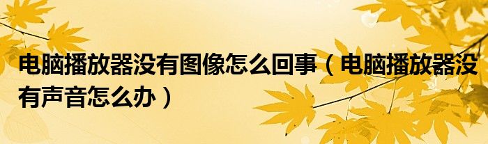 电脑播放器没有图像怎么回事（电脑播放器没有声音怎么办）