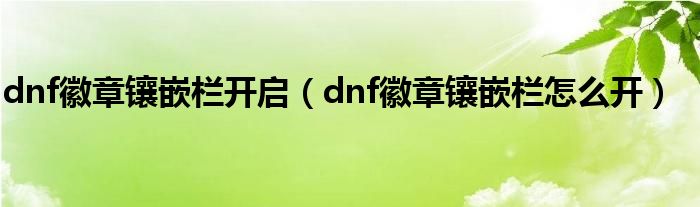 dnf徽章镶嵌栏开启（dnf徽章镶嵌栏怎么开）