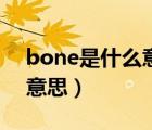 bone是什么意思翻译成中文（bone是什么意思）