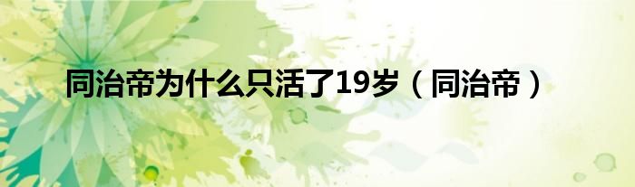 同治帝为什么只活了19岁（同治帝）