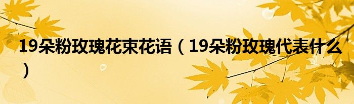 19朵粉玫瑰花束花语（19朵粉玫瑰代表什么）