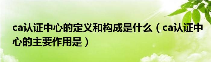 ca认证中心的定义和构成是什么（ca认证中心的主要作用是）