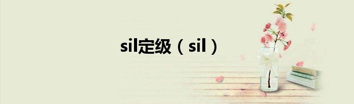 sil定级（sil）