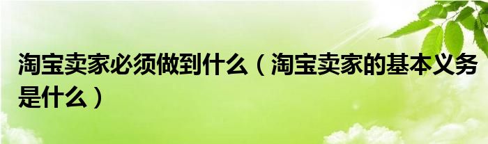 淘宝卖家必须做到什么（淘宝卖家的基本义务是什么）