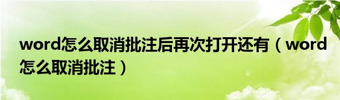 word怎么取消批注后再次打开还有（word怎么取消批注）