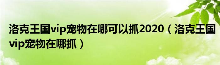 洛克王国vip宠物在哪可以抓2020（洛克王国vip宠物在哪抓）