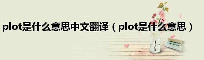 plot是什么意思中文翻译（plot是什么意思）