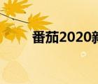 番茄2020新书（番茄2021年新书）