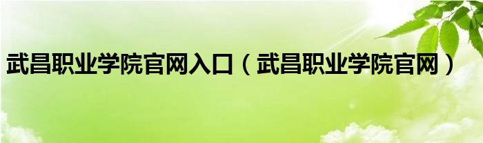 武昌职业学院官网入口（武昌职业学院官网）