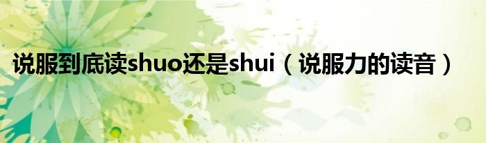 说服到底读shuo还是shui（说服力的读音）