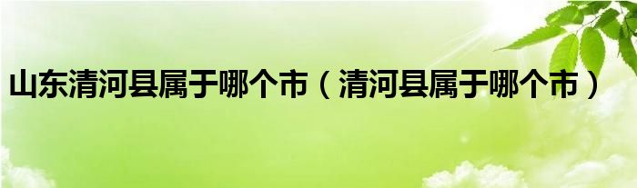 山东清河县属于哪个市（清河县属于哪个市）