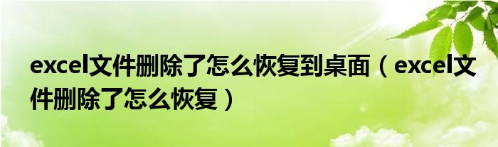 excel文件删除了怎么恢复到桌面（excel文件删除了怎么恢复）