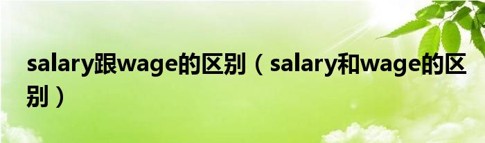 salary跟wage的区别（salary和wage的区别）