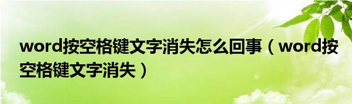 word按空格键文字消失怎么回事（word按空格键文字消失）