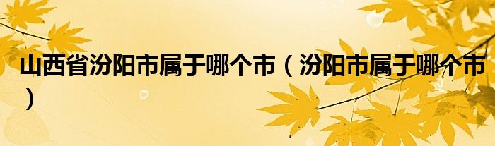 山西省汾阳市属于哪个市（汾阳市属于哪个市）