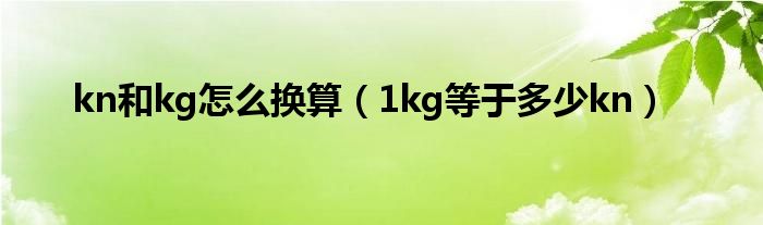 kn和kg怎么换算（1kg等于多少kn）