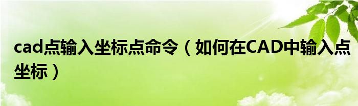 cad点输入坐标点命令（如何在CAD中输入点坐标）