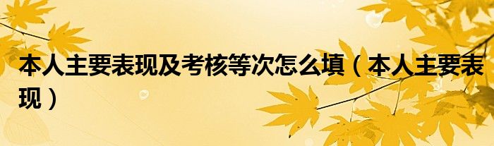 本人主要表现及考核等次怎么填（本人主要表现）