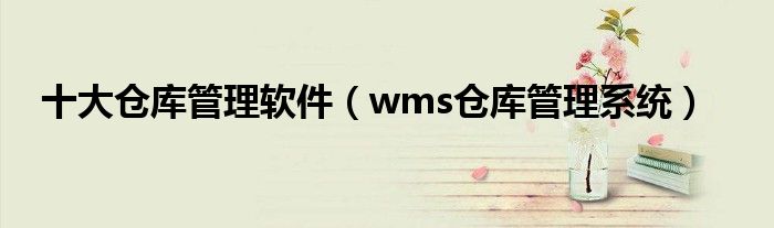 十大仓库管理软件（wms仓库管理系统）