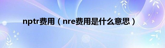 nptr费用（nre费用是什么意思）