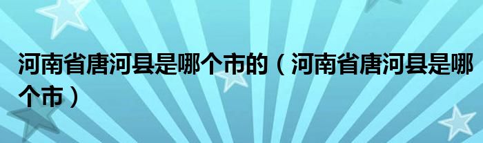 河南省唐河县是哪个市的（河南省唐河县是哪个市）