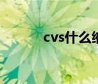 cvs什么缩写（cvs是什么意思）