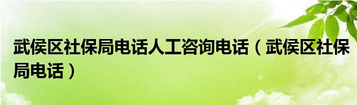 武侯区社保局电话人工咨询电话（武侯区社保局电话）