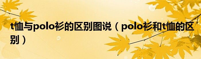 t恤与polo衫的区别图说（polo衫和t恤的区别）