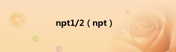 npt1/2（npt）