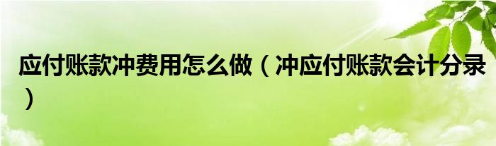 应付账款冲费用怎么做（冲应付账款会计分录）