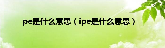 pe是什么意思（ipe是什么意思）