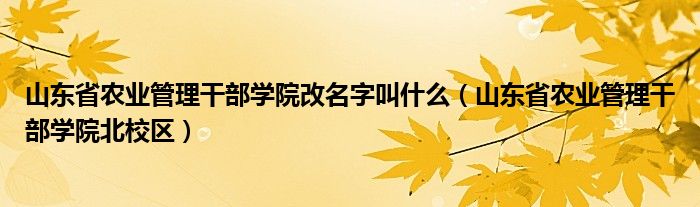 山东省农业管理干部学院改名字叫什么（山东省农业管理干部学院北校区）