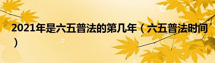 2021年是六五普法的第几年（六五普法时间）