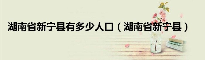 湖南省新宁县有多少人口（湖南省新宁县）