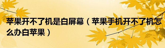 苹果开不了机是白屏幕（苹果手机开不了机怎么办白苹果）