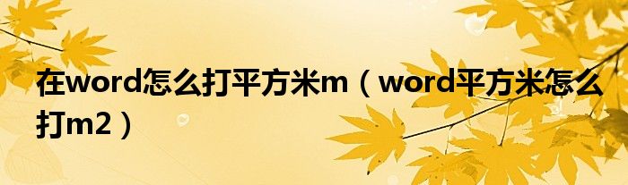 在word怎么打平方米m（word平方米怎么打m2）