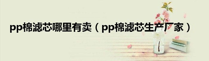 pp棉滤芯哪里有卖（pp棉滤芯生产厂家）