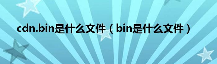 cdn.bin是什么文件（bin是什么文件）