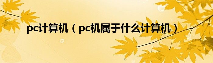 pc计算机（pc机属于什么计算机）