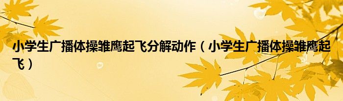 小学生广播体操雏鹰起飞分解动作（小学生广播体操雏鹰起飞）