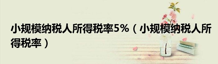 小规模纳税人所得税率5%（小规模纳税人所得税率）