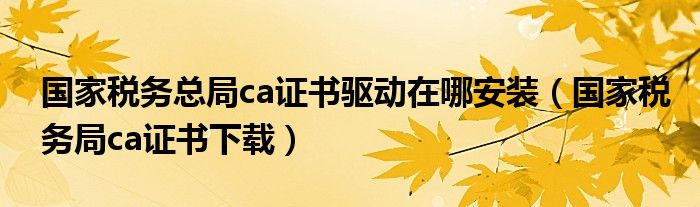 国家税务总局ca证书驱动在哪安装（国家税务局ca证书下载）