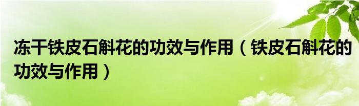 冻干铁皮石斛花的功效与作用（铁皮石斛花的功效与作用）