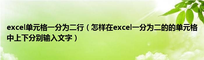 excel单元格一分为二行（怎样在excel一分为二的的单元格中上下分别输入文字）