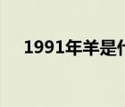 1991年羊是什么命（1991年是什么命）