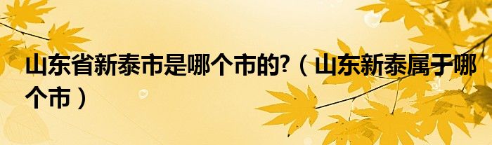 山东省新泰市是哪个市的?（山东新泰属于哪个市）