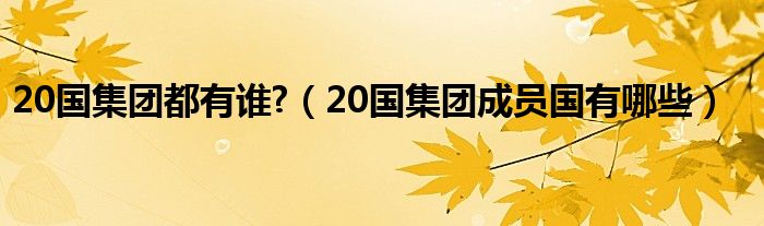 20国集团都有谁?（20国集团成员国有哪些）