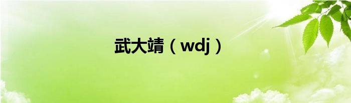 武大靖（wdj）